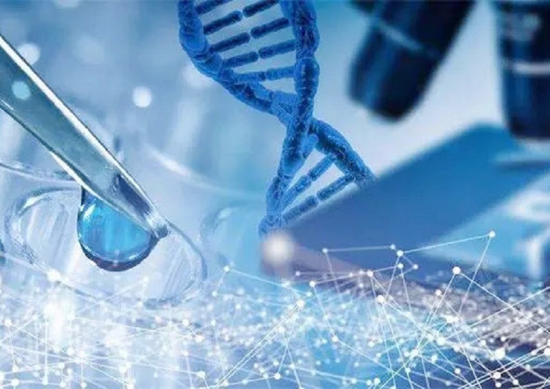 新宝lll测速登录