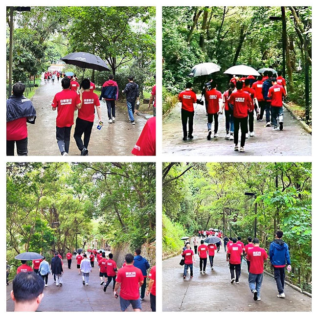 新宝lll测速登录