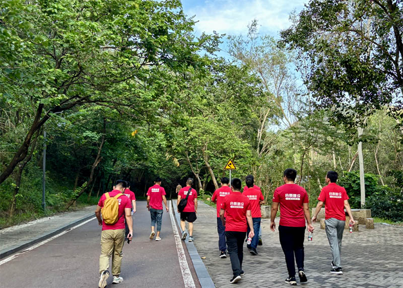 新宝lll测速登录